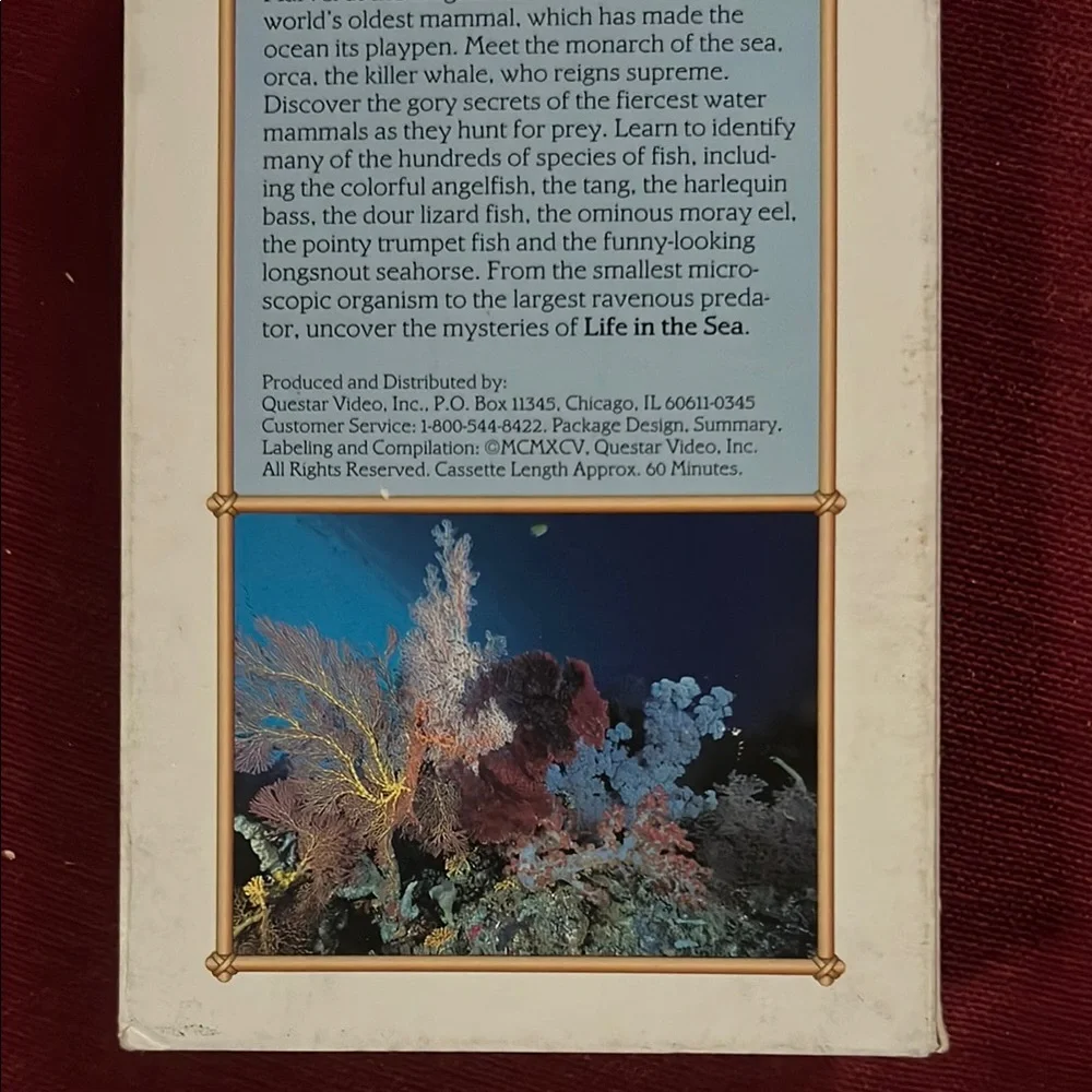 Great Sea Mammals Volume One Video
